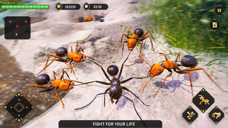 蚂蚁模拟器地下虫鼠民地战v1.0