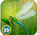 蜻蜓模拟器3D安卓版(养成模拟游戏) v1.1 手机正式版