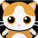 嘎查猫安卓版(饲养Q萌可爱的猫咪) v1.1.0 最新手机版
