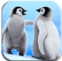 爱钓鱼的企鹅内购版(休闲游戏手机版) v1.2 免费版