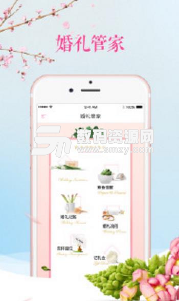 婚礼管家APP手机版图片