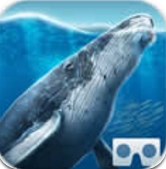深海VR最新手机版(SeaWorld VR2) v3.0.2 免费安卓版