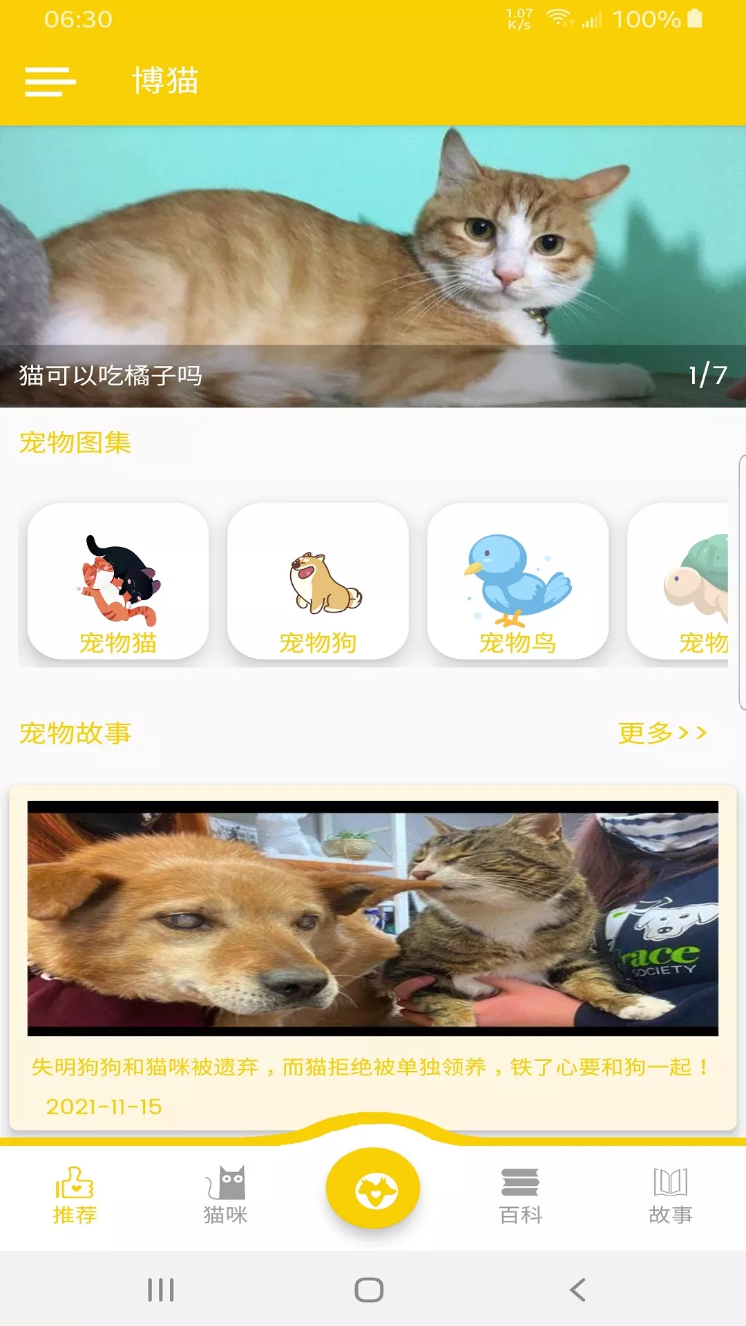 博猫app1.1.1