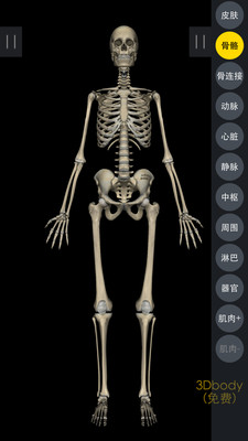 3DBody解剖最新版v8.3.72