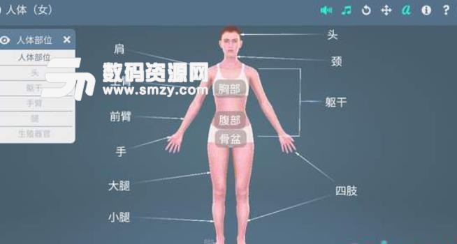 人体解剖3D女性app下载