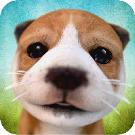 小狗模拟安卓版(Dog Simulator) v1.6 最新版