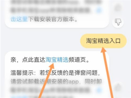 淘宝精选入口怎么找不到