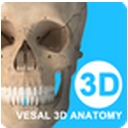 维萨里3D解剖安卓手机版(Vesal) v3.2.0 最新版