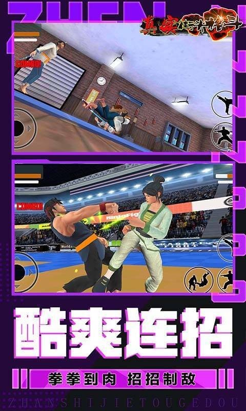 真實街頭格鬥遊戲v1.2