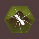 蚂蚁军团模拟v1.3