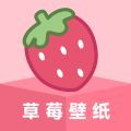 草莓壁纸appv1.7.0