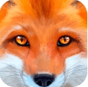 终极野狐模拟器安卓版v1 官方版