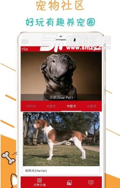 宠物狗狗百科安卓版
