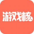 游戏核appv1.1