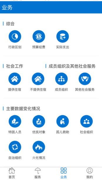 云南民政安卓最新版界面