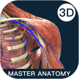 解剖大师最新版3.6.0