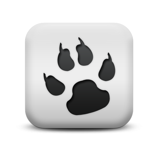 夜猫影院免vip会员最新版(影音播放) v2.3.0 安卓版