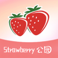 草莓公园appv1.0