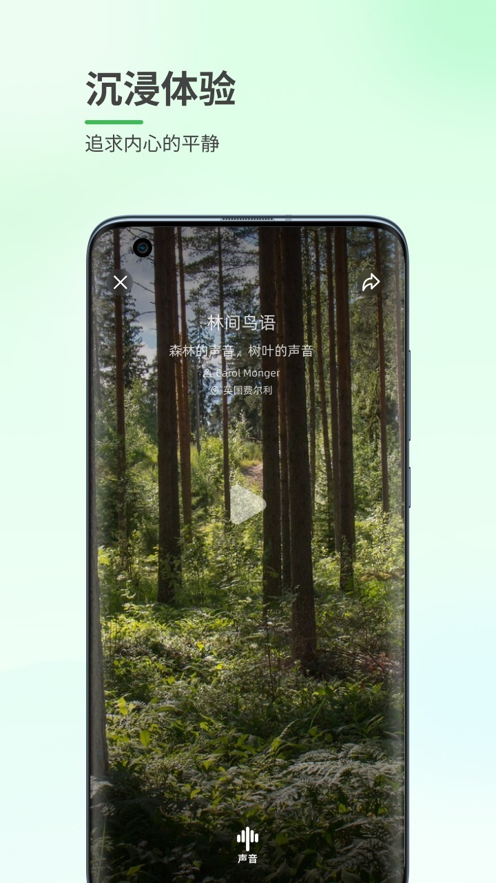 森林白噪音appv1.1.1