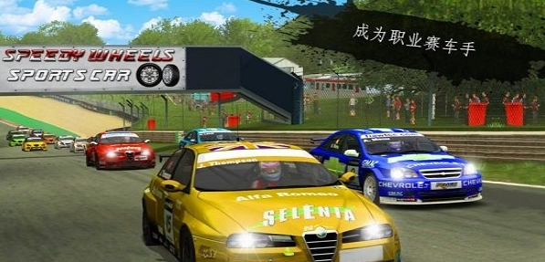 拉力赛狂怒3D最新版v1.0.4