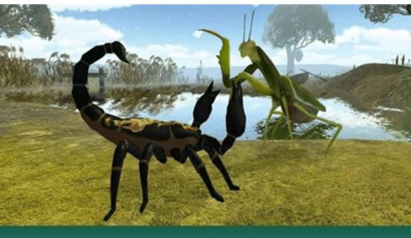 野生螳螂模拟器安卓版图片