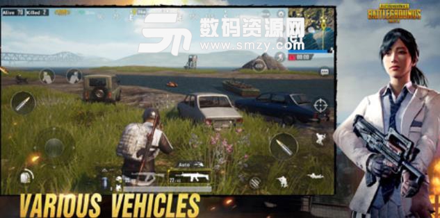 pubg mobile国际服