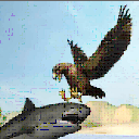 海鹰生存模拟器游戏(动作类型模拟) v1.2 手机安卓版