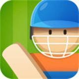 板球聚会手机版(体育竞技) v1.1 安卓版