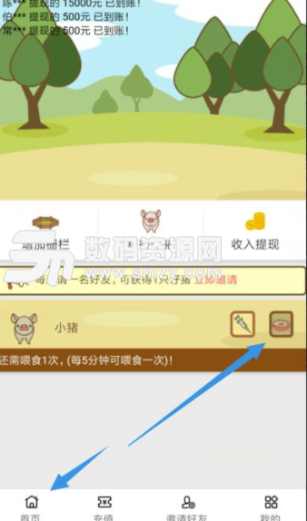 趣赚养猪app手机版截图