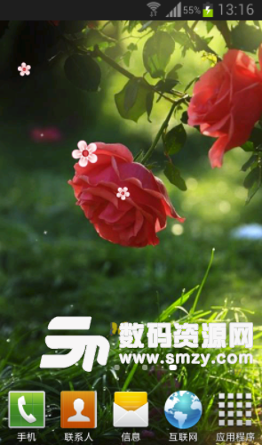 花朵动态壁纸最新版