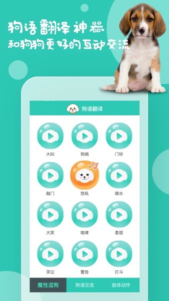 狗语翻译器appv9.6.2