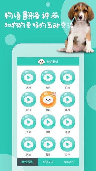 狗語翻譯器appv9.6.2