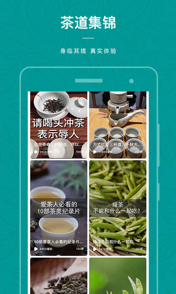 茶物几何1.2.5