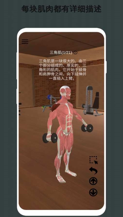 3D健身指南v1.3