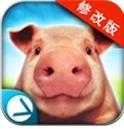 可爱小猪模拟安卓无限钻石版(Android模拟养成手游) v1.3 特别版