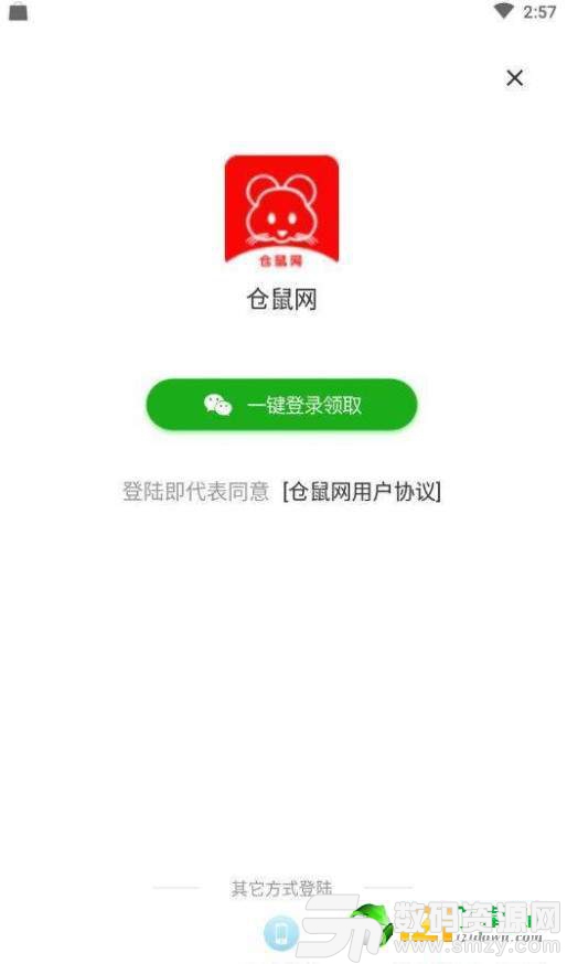 仓鼠网赚图1