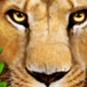 终极狮王模拟手游(模拟生存游戏) v1.3 安卓版