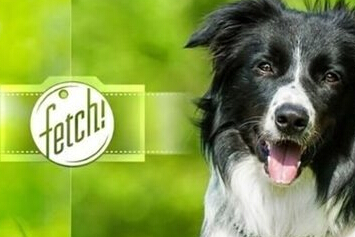 Fetch安卓版(手机狗脸识别app) v1.4 最新版