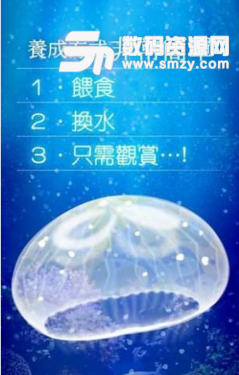 ellyfish Aquarium Free安卓版下载