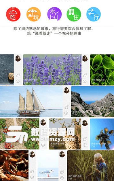 小棠菜旅行app
