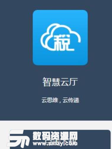 河北国税云办税厅app