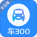 车300二手车