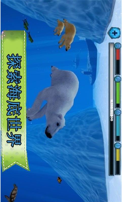 动物王国北极熊安卓版截图