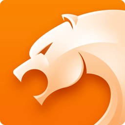 猎豹浏览器极速精简版v5.29.1