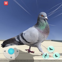 饥饿的鸽子模拟器游戏v1.1