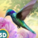 蜂鸟模拟器3D手游(休闲类模拟游戏) v1.4 安卓版