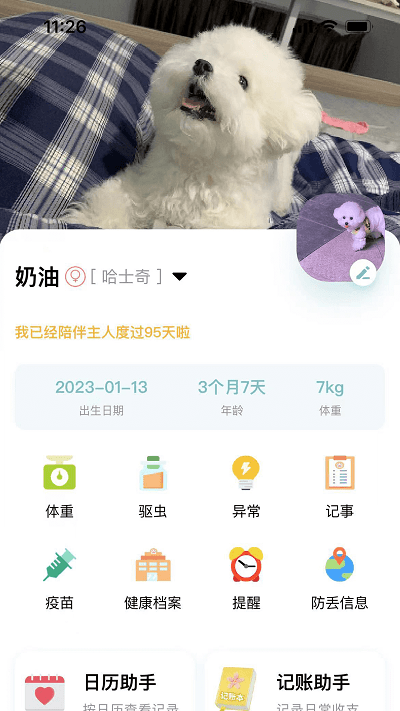 述宠appv2.0.5