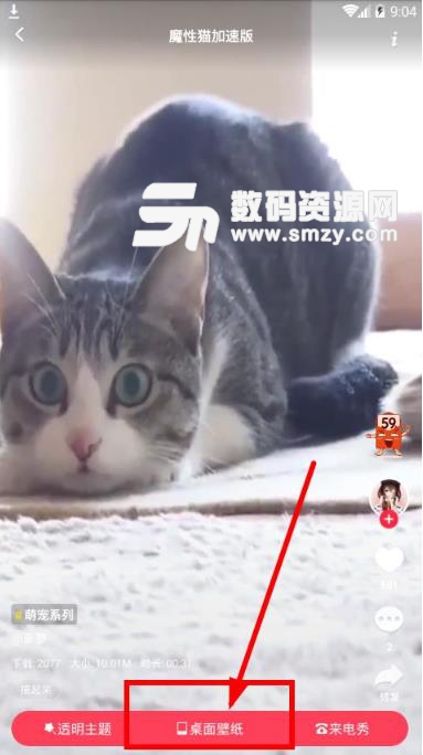 熊猫动态壁纸安卓版