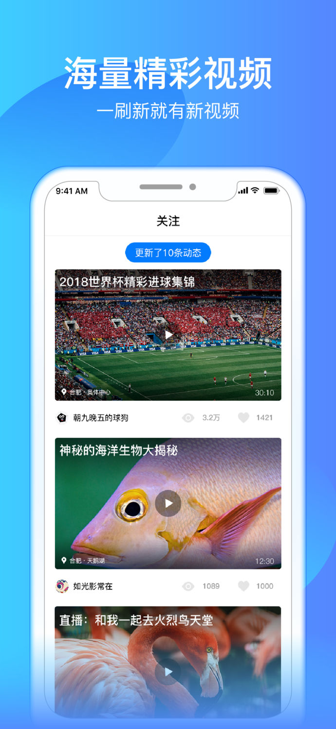 海豚TVv2.4.4