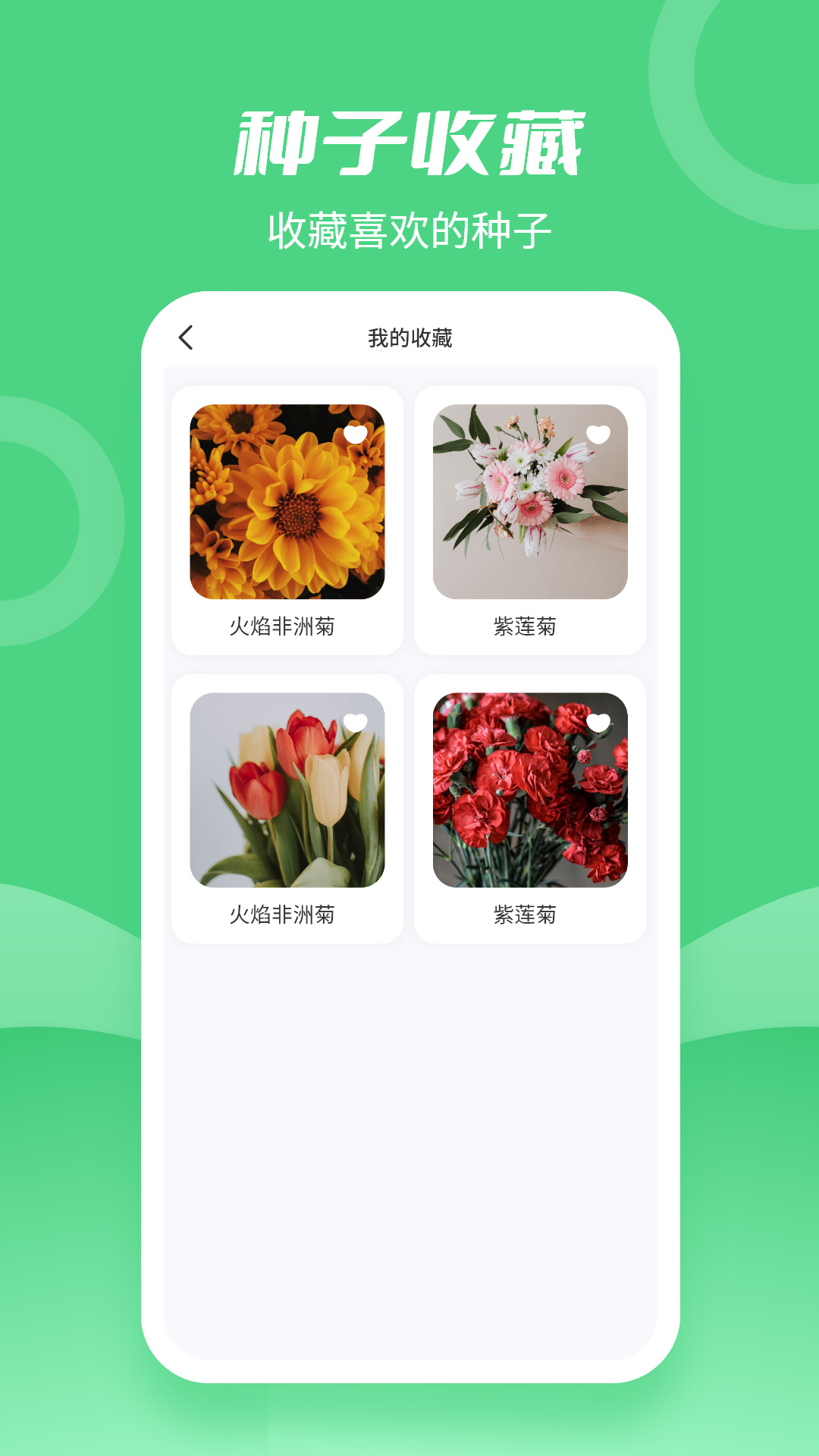 种子大全app1.0.0